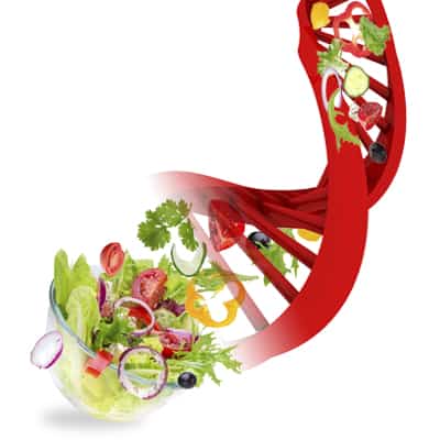 ENTENDENDO A GENÉTICA DA NUTRIÇÃO